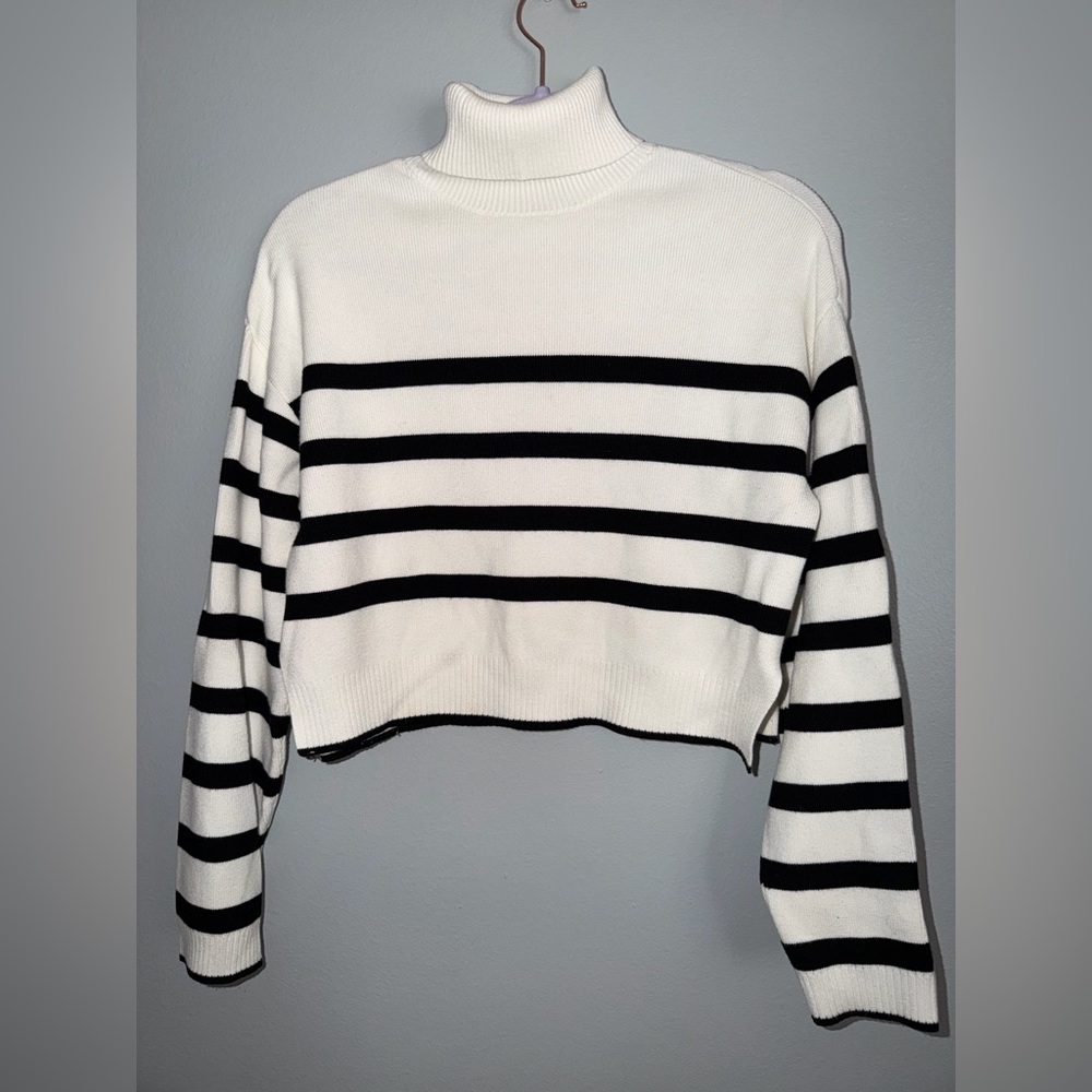 Dynamite Black and White Striped Turtleneck Sweater